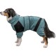 Ein Hund trägt ein türkisfarbenes und schwarzes Haustieroutfit mit Kapuze und mehreren Riemen, steht im Profil vor einem weißen Hintergrund.