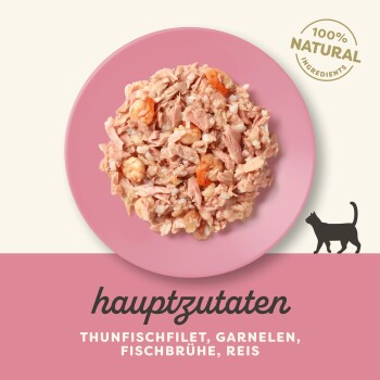 Hundefutter auf einem rosa Teller mit Thunfischfilet, Garnelen, Fischbrühe und Reis, mit dem Etikett "100% NATÜRLICHE ZUTATEN."