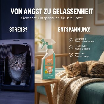 Eine Flasche GREEN HERO Katzenentspannungsspray auf einem türkisfarbenen Sockel, mit einem verspielten Katzenbild und Text über natürliche Inhaltsstoffe und beruhigende Wirkungen.