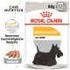 Royal Canin Dermacomfort Hundefutter, 85g x 12 Portionen, mit einer Illustration eines schwarzen Scottish Terriers und dem Text "Care Nutrition."
