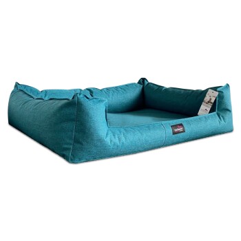 Ein schlanker, grauer Hund entspannt sich auf einem lebhaften türkisfarbenen Haustierbett und zeigt Komfort und Stil in einem modernen Innenraum.