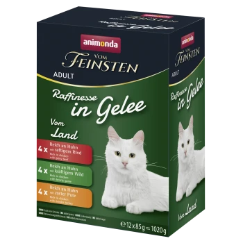 Schachtel Animonda 'Vom Feinsten' Adult-Katzenfutter, grüne Verpackung mit weißer Katze und dem Schriftzug 'Raffinesse in Gelee'.