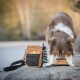 Braun-weißer Hund trinkt aus einer zusammenklappbaren Schüssel neben einer beigen Reisetasche für Haustiere und einer gestreiften Wasserflasche auf einem Felsen.