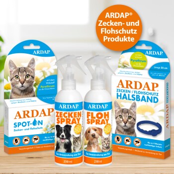 Bild von ARDAP Floh- und Zeckenprodukten: zwei Sprayflaschen und ein Halsbandpaket, mit einer Katze und wichtigen Texten zur Wirksamkeit.