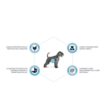 Image de chien avec texte sur la nourriture pour chien : protéine de poulet, haute digestibilité, excellent goût et prébiotiques pour la santé intestinale.