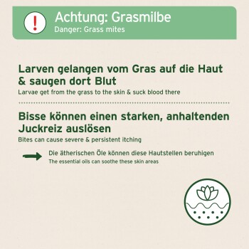 Warnung vor Grasmilben, die erklärt, dass Larven Blut saugen und Bisse starken Juckreiz verursachen; empfiehlt ätherische Öle zur Linderung.