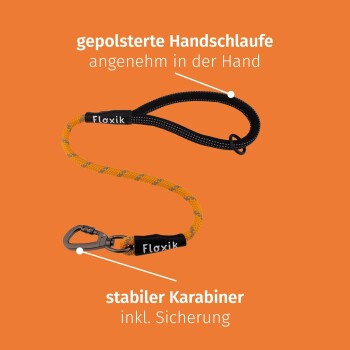 Eine bunte Hundeleine mit einem gepolsterten Griff für Komfort und einem stabilen Karabiner mit Sicherheitsmerkmal, beschriftet mit "Floxik."