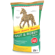 Josera Kraut & Rüben Senior getreidefreies Pferdefutter, 15 kg, mit Kräuterzutaten und ohne Zuckerzusatz.