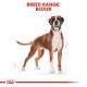 Illustration of a Boxer dog with measurements, labeled "BREED RANGE: BOXER" in bold red text above.