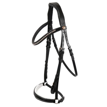 Eine Nahaufnahme eines braunen Pferdes, das ein schwarzes Zaumzeug mit einem dekorativen Perlenkopfschmuck trägt, vor einer verschwommenen grünen Landschaft.