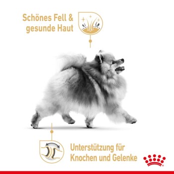 Ein flauschiger Pomeranian-Hund in Bewegung, mit dem Text "Schönes Fell & gesunde Haut" und "Unterstützung für Knochen und Gelenke."