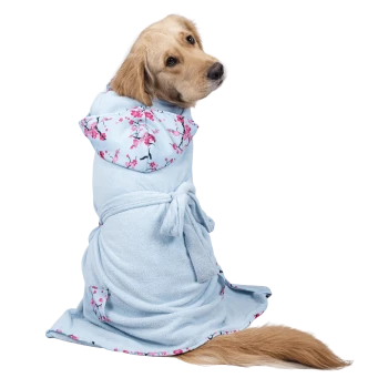 Golden Retriever trägt einen hellblauen Kapuzenbademantel mit rosa Kirschblütenbesatz und gebundenem Gürtel, sitzt, Schwanz sichtbar.
