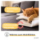 Eine graue getigerte Katze tritt aus einem Fach in einem Regal auf eine weiße rutschfeste Matte, mit dem Text "Anti-Rutsch" deutlich angezeigt.