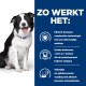 Een blije Border Collie zit tegen een blauwe achtergrond met tekst over de voordelen van huisdiervoer, waaronder vezeltechnologie en tandheelkundige gezondheid brokjes.