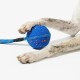 Hundepfoten halten einen blau-orangefarbenen, strukturierten Ballspielzeug mit blauem Seilgriff vor weißem Hintergrund.