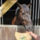Hände halten einen Haufen kleiner, grünlich-brauner Haustierfutterpellets, mit einem Hintergrund aus Stroh und einem Abzeichen mit der Aufschrift 'Beste Qualität - seit über 15 Jahren.'
