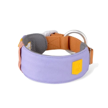 Lila und orange Hundehalsband mit weicher Innenauskleidung und einem Metall-D-Ring zur Befestigung der Leine.