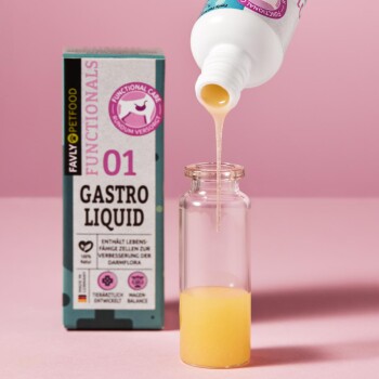 Eine Flasche mit gelblichem Flüssigkeit, die aus einem weißen Behälter mit der Aufschrift "01 GASTRO LIQUID" von FAVLY Petfood gegossen wird, entwickelt für die Verdauungsgesundheit von Haustieren.