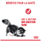 Eine schwarz-weiße Katze mit einem flauschigen Schwanz gräbt in den Boden. Text: "BÉNÉFICE POUR LA SANTÉ" und "AIDE À SOUTENIR UNE DIGESTION SAINE."