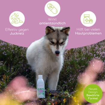 Ein flauschiger Hund steht auf einer grasbewachsenen Fläche neben einer Flasche für Haustierpflegeprodukte, die Vorteile bei Juckreiz und Hautproblemen zeigt.