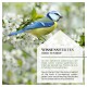 Eine Blaumeise, die auf einem Ast mit weißen Blüten sitzt, begleitet von Text in Deutsch und Englisch über den Erhalt des Vogelhabitats.