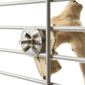 Nahaufnahme eines metallischen Befestigungselements an einem Haustierkäfig, das einen natürlichen Holzast zum Klettern oder Kauen sichert.