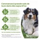 Chien mâchant une friandise dentaire avec le texte français 'Commencez à prendre soin de leurs dents dès aujourd'hui' et le logo Whimzees.