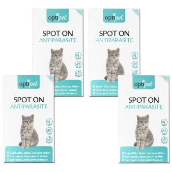 Vier Boxen von "optipet SPOT ON ANTIPARASITE" für Katzen, mit einer grauen Katze auf der Vorderseite und mehrsprachigem Text zur Floh- und Zeckenprävention.