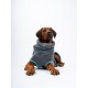 Ein brauner Hund trägt einen gemütlichen grauen Fleece-Hoodie mit blauen Akzenten und sitzt vor einem weißen Hintergrund.