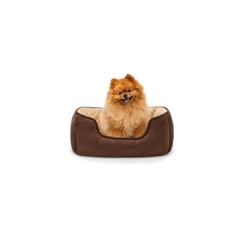Ein flauschiger Pomeranian-Hund, der glücklich in einem gemütlichen braunen Haustierbett mit einem weichen beigen Innenraum sitzt.