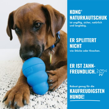 Brauner Hund kaut auf blauem KONG-Spielzeug; blauer Seitenbereich mit Text „KONG NATURKAUTSCHUK“ und „KAUFREUDIGSTEN HUNDE!“.