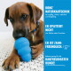 Brauner Hund kaut auf blauem KONG-Spielzeug; blauer Seitenbereich mit Text „KONG NATURKAUTSCHUK“ und „KAUFREUDIGSTEN HUNDE!“.