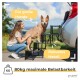 Ein brauner Hund steht auf einer schwarzen Haustierrampe, die zum Kofferraum eines Autos führt, mit einem Schild, das "Nur für Kofferraum" und "80kg maximale Belastbarkeit" sagt.