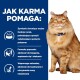 Puszysty pomarańczowy kot z jasnymi zielonymi oczami siedzi obok tekstu opisującego, jak karma dla kotów wspiera funkcje nerek, apetyt i utrzymanie mięśni.