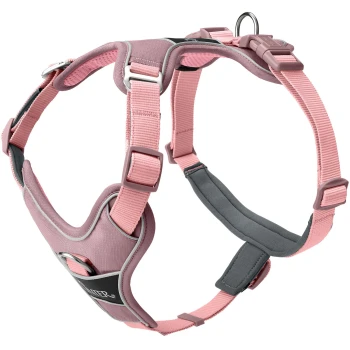 Geschirr Divo Up altrosa XS Rosa Hundegeschirr mit verstellbaren Riemen und einem gepolsterten Brustbereich, mit einem Metall-D-Ring zur Leinenbefestigung.