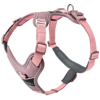 Rosa Hundegeschirr mit verstellbaren Riemen und einem gepolsterten Brustbereich, mit einem Metall-D-Ring zur Leinenbefestigung.