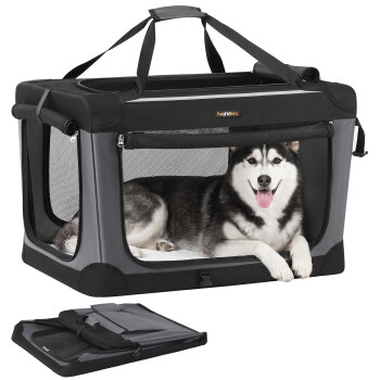 Grau/schwarze, weiche Hundebox mit Netzfenstern und Griffen, Husky liegt innen, gefaltete Tasche darunter, 'feandrea'-Label sichtbar