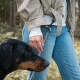 Person in beiger Jacke und Jeans hält eine hellbraune Seilleine, die an der Jacke befestigt ist; Kopf eines schwarzen Dobermanns im Vordergrund.