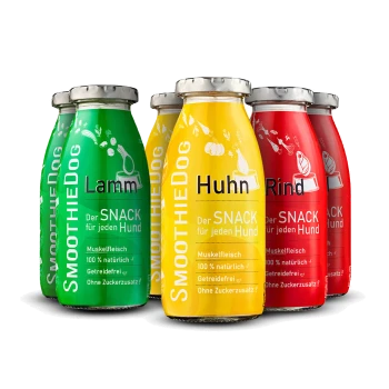 Fünf bunte Smoothie-Flaschen für Hunde, beschriftet mit "Lamm," "Huhn," und "Rind," mit Text über natürliche Zutaten und Snacks.