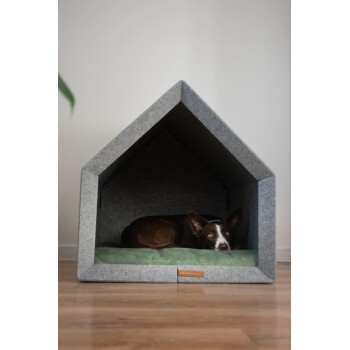 Ein braun-weißer Hund liegt bequem in einem modernen, grauen Filz-Hundehäuschen mit einem grünen Kissen, vor einer hellen Wand.
