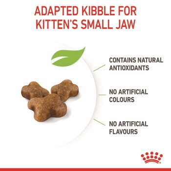 Three brown kitten kibbles - ADAPTED KIBBLE FOR KITTEN'S SMALL JAW; NATURAL ANTIOXIDANTS; NO ARTIFICIAL COLOURS/FLAVOURS
