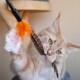 Eine verspielte orange Katze, die ein Feder-Spielzeug mit einer orangefarbenen Spitze hält, zeigt ihre leuchtenden Augen und ihr flauschiges Fell.