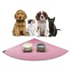 Eine Gruppe von vier Haustieren, darunter zwei Hunde, eine Katze und ein schwarzes Kätzchen, sitzt auf einer pinken Fütterungsmatte mit zwei stilvollen Futternäpfen.