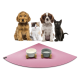 Eine Gruppe von vier Haustieren, darunter zwei Hunde, eine Katze und ein schwarzes Kätzchen, sitzt auf einer pinken Fütterungsmatte mit zwei stilvollen Futternäpfen.