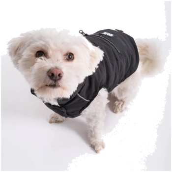 Ein kleiner weißer Hund in einer stylischen schwarzen Daunenjacke mit Reißverschlüssen und reflektierenden Details, steht vor einem weißen Hintergrund.