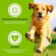 Hundefutter Vegan Protein 15 kg