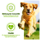 Ein Golden Retriever, der fröhlich im Freien läuft, mit Text, der pflanzenbasierte Unterstützung für Immunität und Vitalität fördert.