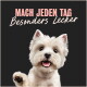 Glücklicher weißer Westie-Welpe mit erhobener Pfote vor dunklem Hintergrund; pinker Text: „MACH JEDEN TAG Besonders Lecker“.