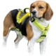 Beagle trägt ein neongelbes reflektierendes Geschirr mit Griff und schwarzen Schnallen vor weißem Hintergrund