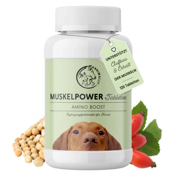 Eine Flasche "Muskelpower Amino Boost" Hundefutterergänzungstabletten, mit dem Gesicht eines Hundes auf dem Etikett, daneben Sojabohnen und Hagebutten.